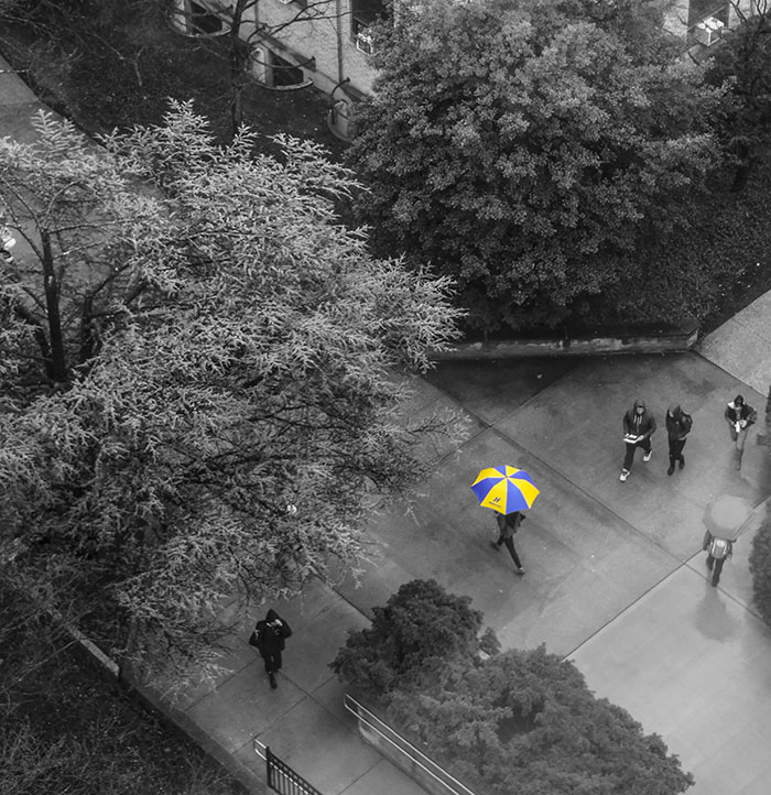 Meteorology | Hofstra University